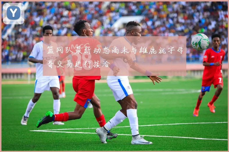 篮网队最新动态尚未与雄鹿就字母哥交易进行接洽