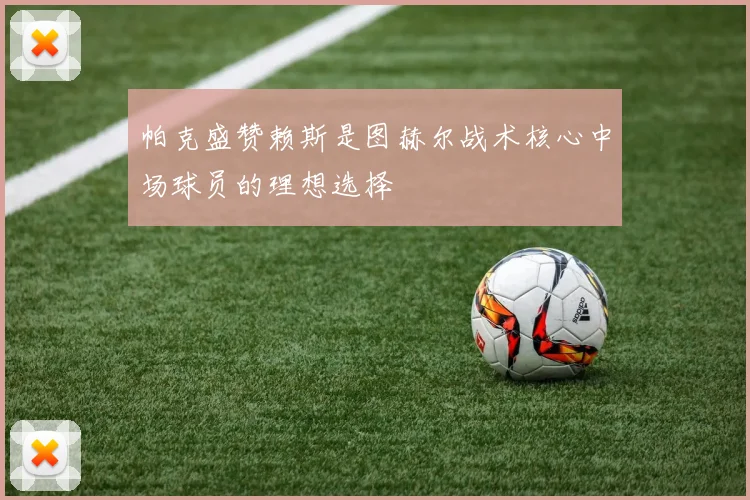 帕克盛赞赖斯是图赫尔战术核心中场球员的理想选择