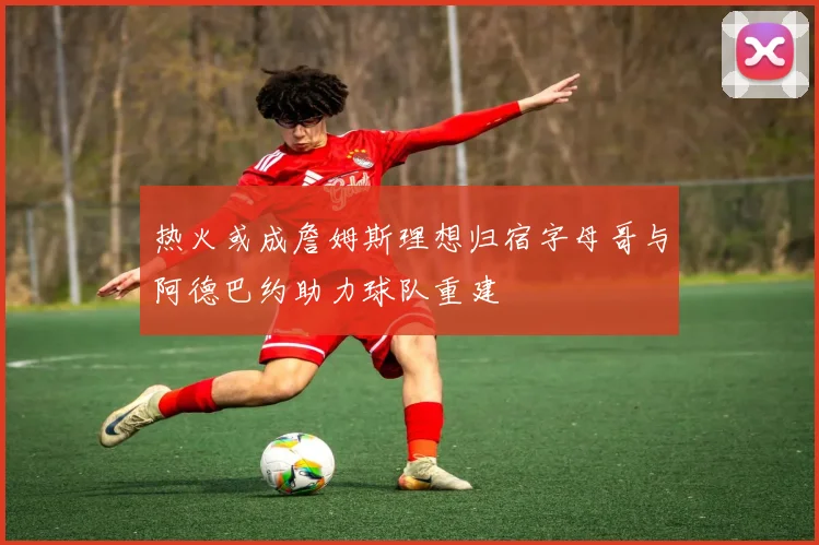 热火或成詹姆斯理想归宿字母哥与阿德巴约助力球队重建